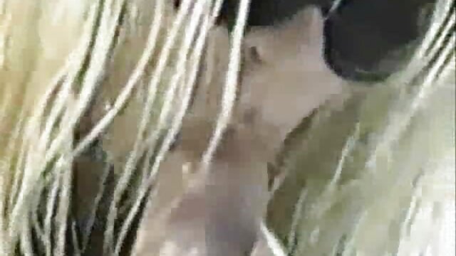 Маш сайн :  Бүрэн цээжтэй шаргал MILF Райан Кили халуун JOI өгч байна Халуун порно кино 